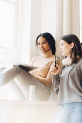 Female computer programmers discussing over laptop by window in office - MASF13755