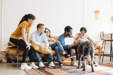 Happy programmers looking dog playing with colleague sitting on sofa in creative office - MASF13773