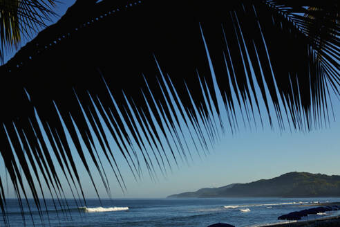 Palme umrahmt idyllischen, malerischen Blick auf den blauen Ozean, Sayulita, Nayarit, Mexiko - FSIF04363