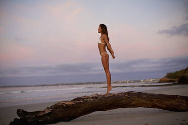 Carefree woman in bikini standing on driftwood on beach at dusk - FSIF04417