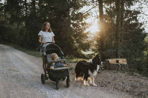 Mutter mit Baby im Kinderwagen und Hund spazieren auf Waldweg bei Sonnenuntergang - DWF00514
