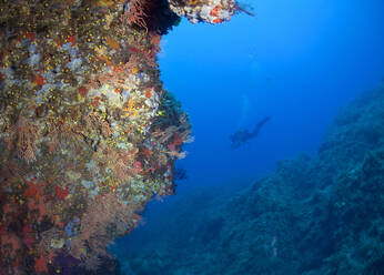 La Revellata reef at Calvi with diver in background at Corsica, France - ZCF00804