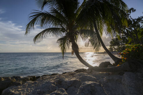 Maxwell Beach, Christ Church, Barbados, Westindien, Karibik, Mittelamerika - RHPLF08949