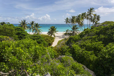 Bottom Bay, St. Philip, Barbados, West Indies, Caribbean, Central America - RHPLF08955