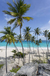 Bottom Bay, St. Philip, Barbados, Westindische Inseln, Karibik, Mittelamerika - RHPLF08957