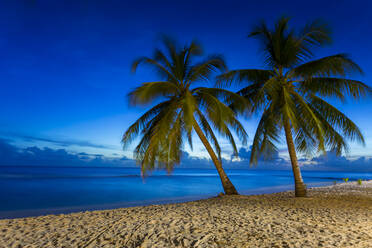 Sonnenuntergang am Savannah Beach, Christ Church, Barbados, Westindien, Karibik, Mittelamerika - RHPLF08959