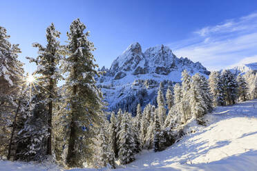 Die Sonne beleuchtet die verschneiten Bäume und den Sass De Putia im Hintergrund, Passo Delle Erbe, Fünser Tal, Südtirol, Italien, Europa - RHPLF09011