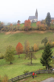 Nebel und bunte Bäume umgeben die Bergkirche im Herbst, St. Magdalena, Funes Tal, Südtirol, Dolomiten, Italien, Europa - RHPLF09015