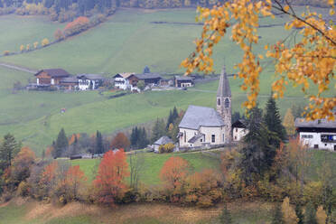 Das gelbe Laub einer Lärche umrahmt die Bergkirche im Herbst, St. Magdalena, Funes Tal, Südtirol, Dolomiten, Italien, Europa - RHPLF09017