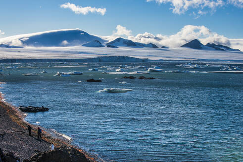 Blick über Eisberge und die Gletscher von Brown Bluff, Antarktis, Polarregionen - RHPLF09039