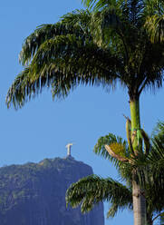 Corcovado und Christusstatue durch die Palmen des Botanischen Gartens gesehen, Zona Sul, Rio de Janeiro, Brasilien, Südamerika - RHPLF09075