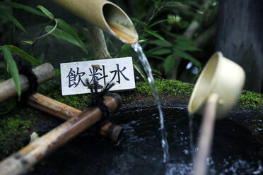 Japanischer Garten außerhalb des Tokugawa-Mausoleums, Nikko, Honshu, Japan, Asien - RHPLF09089