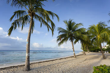 Savannah Beach, Savannah, Bridgetown, Christ Church, Barbados, Westindien, Karibik, Mittelamerika - RHPLF09093