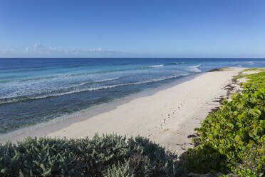 Hastings Beach, Bridgetown, Christ Church,, Barbados, Westindien, Karibik, Mittelamerika - RHPLF09096