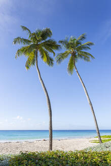 Hastings Beach, Bridgetown, Christ Church,, Barbados, Westindien, Karibik, Mittelamerika - RHPLF09097