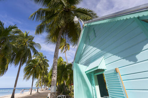 Hastings Beach, Christ Church, Barbados, Westindien, Karibik, Mittelamerika - RHPLF09099