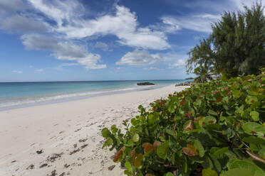 Welches Beach, Oistins, Christ Church, Barbados, Westindien, Karibik, Mittelamerika - RHPLF09100