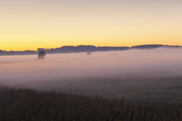 Frühmorgennebel, Landschaft bei Bad Buchau, Oberschwaben, Baden-Württemberg, Deutschland, Europa - RHPLF09105