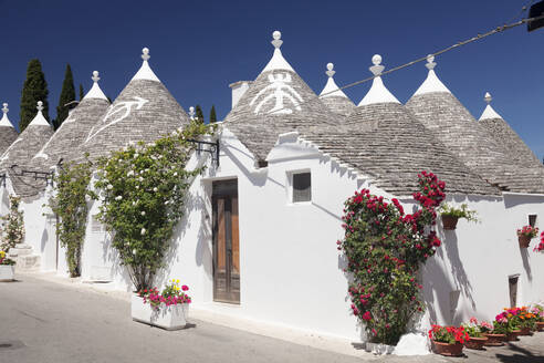 Trulli, traditionelle Häuser, Gebiet Rione Monti, Alberobello, UNESCO-Weltkulturerbe, Valle d'Itria, Bezirk Bari, Apulien, Italien, Europa - RHPLF09129