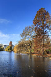 St. James's Park, mit Blick über den See zum Buckingham Palace, sonniger Spätherbst, Whitehall, London, England, Vereinigtes Königreich, Europa - RHPLF09134