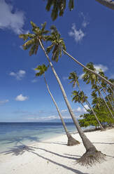 Paliton Beach, near San Juan, Siquijor, Philippines, Southeast Asia, Asia - RHPLF09165