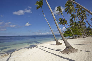 Paliton Beach, bei San Juan, Siquijor, Philippinen, Südostasien, Asien - RHPLF09166