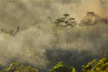 Der Rauch eines Feuers zieht über den Regenwald, in der Nähe von San Juan, Siquijor, Philippinen, Südostasien, Asien - RHPLF09169