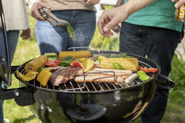 Nahaufnahme eines Grills im Garten - MJFKF00049