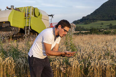 Organic farmer checking harvestability - SEBF00210