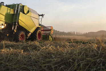 Ökologischer Landbau, Weizenfeld, Ernte, Mähdrescher am Abend - SEBF00216