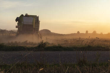 Organic farming, wheat field, harvest, combine harvester in the evening - SEBF00217