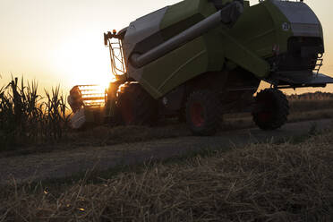 Ökologischer Landbau, Weizenfeld, Ernte, Mähdrescher am Abend - SEBF00219