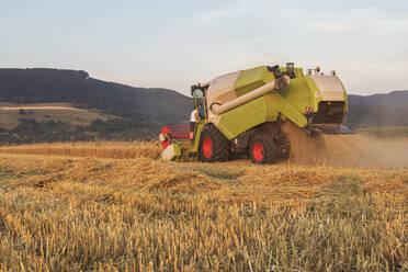 Ökologischer Landbau, Weizenfeld, Ernte, Mähdrescher am Abend - SEBF00222