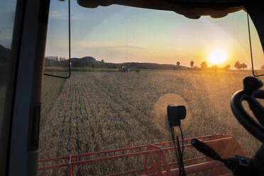 Organic farming, wheat field, harvest, combine harvester in the evening - SEBF00224