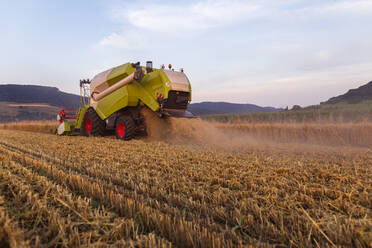 Organic farming, wheat field, harvest, combine harvester in the evening - SEBF00229