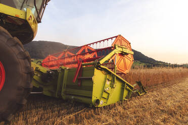 Organic farming, wheat field, harvest, combine harvester in the evening - SEBF00234