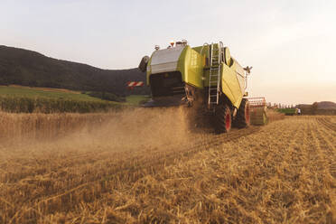 Ökologischer Landbau, Weizenfeld, Ernte, Mähdrescher am Abend - SEBF00235