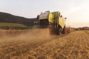 Organic farming, wheat field, harvest, combine harvester in the evening - SEBF00235