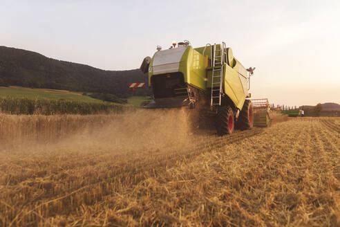 Ökologischer Landbau, Weizenfeld, Ernte, Mähdrescher am Abend - SEBF00235