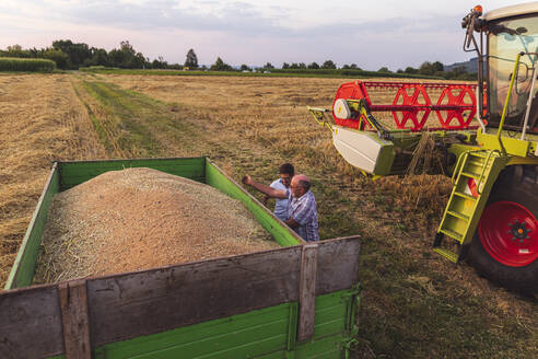 Ökologischer Landbau, Weizenfeld, Ernte, Mähdrescher am Abend - SEBF00239