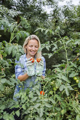 Blond smiling woman harvesting mangold - HMEF00522