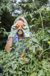 Blond smiling woman harvesting tomatoes, tomatoes on eyes - HMEF00523