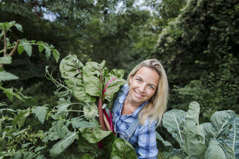 Blond smiling woman harvesting mangold stock photo