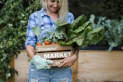 Blond smiling woman harvesting mangold stock photo