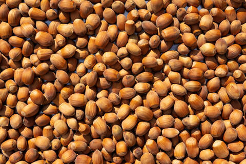 Full frame shot of hazelnuts stock photo