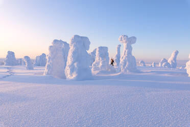 Wanderer zwischen gefrorenen Bäumen, Riisitunturi-Nationalpark, Posio, Lappland, Finnland, Europa - RHPLF09226