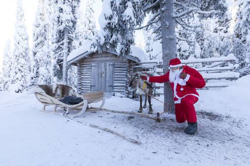 Weihnachtsmann und Rentiere, Ruka (Kuusamo), Region Nord-Ostbottnien, Lappland, Finnland, Europa - RHPLF09227