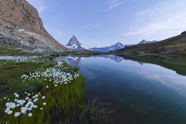 Cotton grass on the shore of lake Riffelsee with the Matterhorn in the background, Zermatt, canton of Valais, Swiss Alps, Switzerland, Europe - RHPLF09244