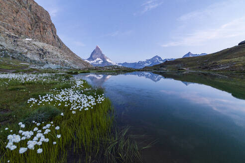 Wollgras am Ufer des Riffelsees mit dem Matterhorn im Hintergrund, Zermatt, Kanton Wallis, Schweizer Alpen, Schweiz, Europa - RHPLF09244