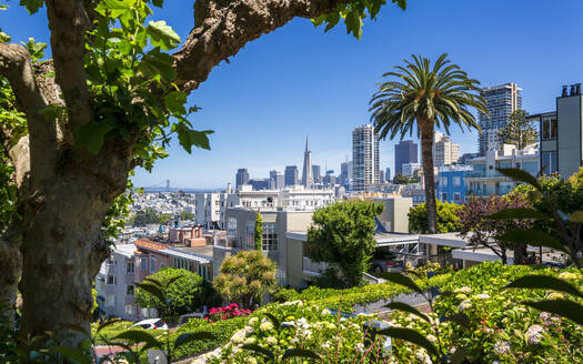 Downtown San Francisco mit der Transamerica Pyramid von der Lombard Street aus, San Francisco, Kalifornien, Vereinigte Staaten von Amerika, Nordamerika - RHPLF09286